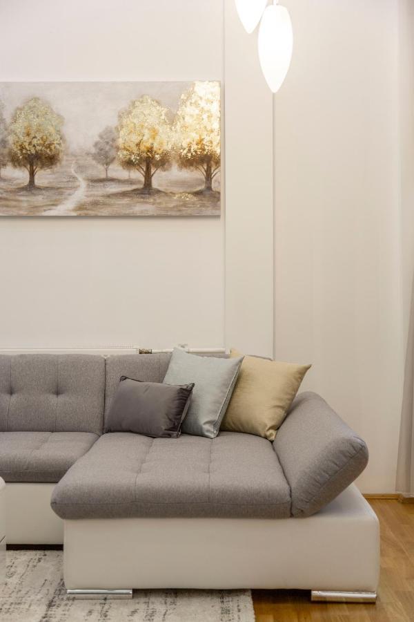 Luxurious & Spacious Downtown Residence In Liszt Ferenc Square บูดาเปสต์ ภายนอก รูปภาพ